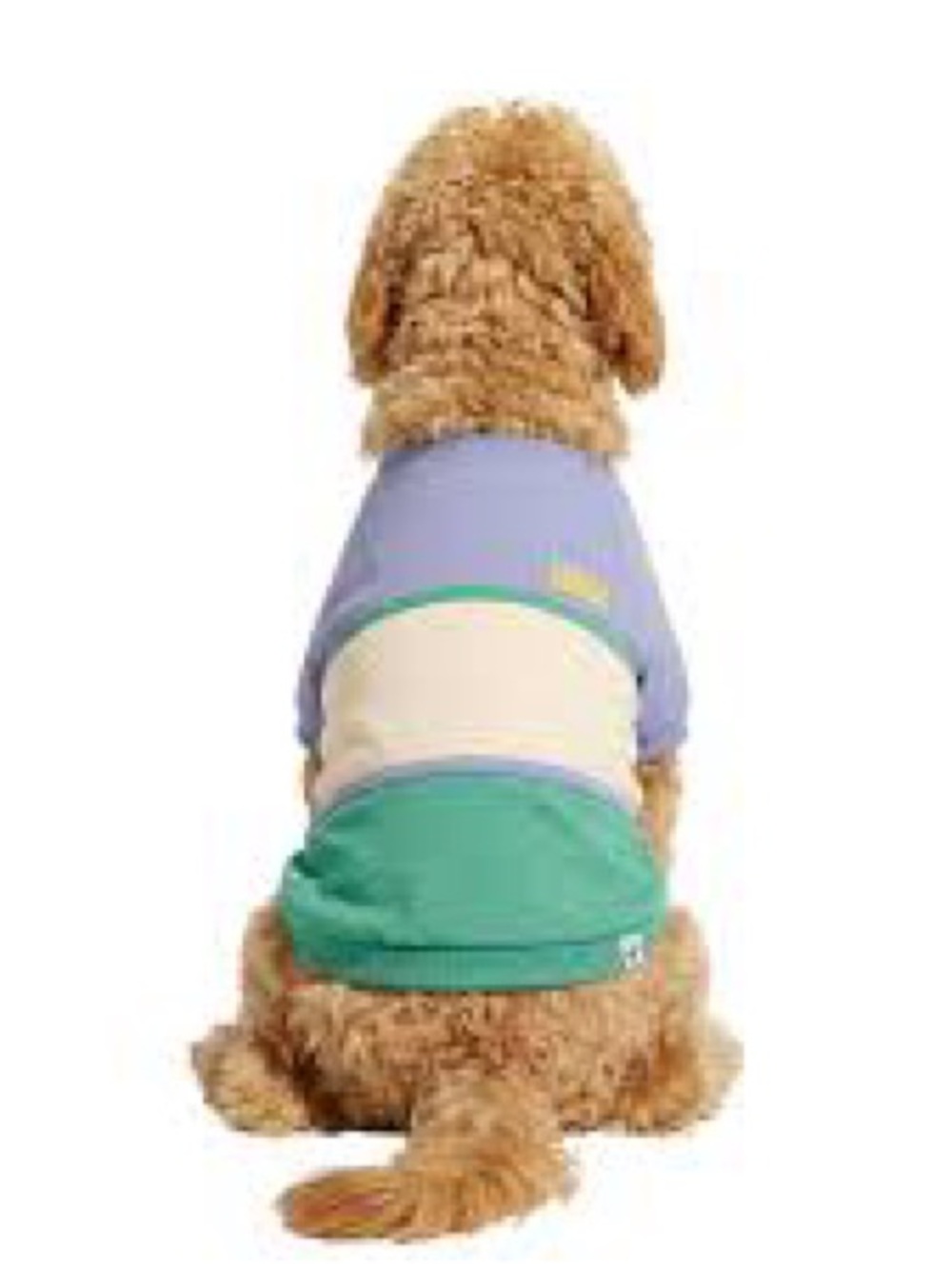 Oodles Colorblock Wiggle Butt Graphic Dog Shirt Small & Medium